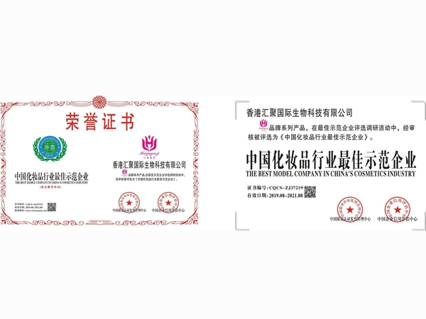 企業(yè)實力
